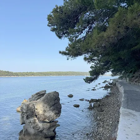 Affittacamere Old Town